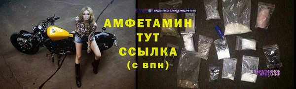 сатива Баксан