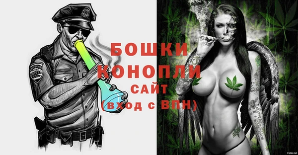 сатива Балахна
