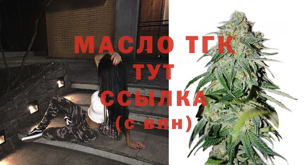 сатива Баксан
