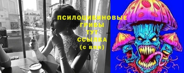 сатива Балахна