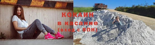 сатива Балахна