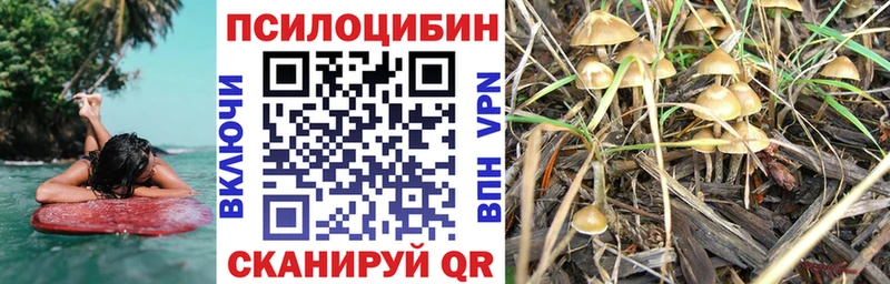 Галлюциногенные грибы Magic Shrooms  ссылка на мегу онион  Венёв  купить наркотики цена 